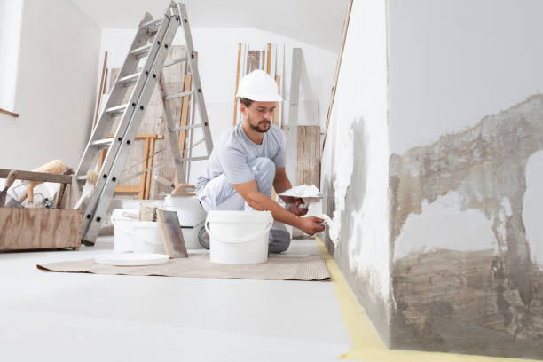 Best Mold Removal for HVAC Installations  in Rockvale, TN