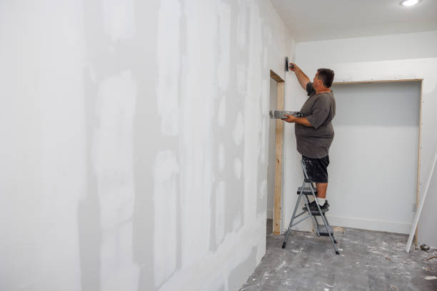 Mold Odor Removal Services in Rockvale, TN