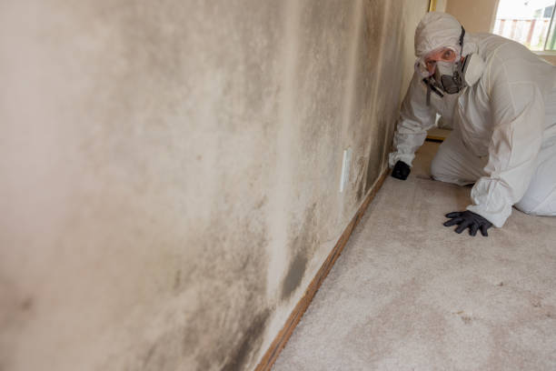 Best Biohazard Mold Removal  in Rockvale, TN