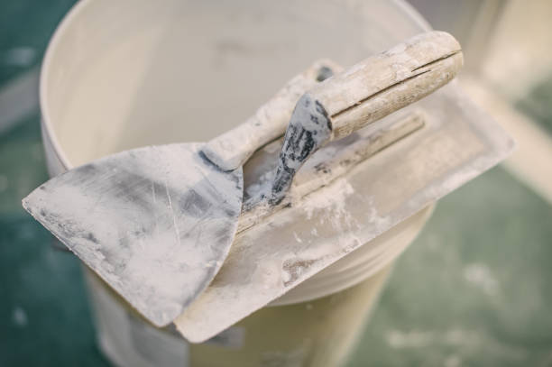 Best Emergency Mold Remediation  in Rockvale, TN