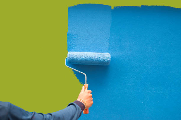 Best Basement Mold Removal  in Rockvale, TN