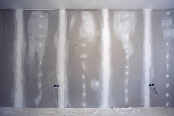 Environmental Consulting for Mold Prevention in Rockvale, TN